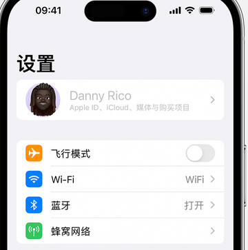 莱州appleID维修服务iPhone设置中Apple ID显示为灰色无法使用 