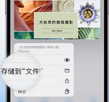 莱州apple维修中心分享iPhone文件应用中存储和找到下载文件