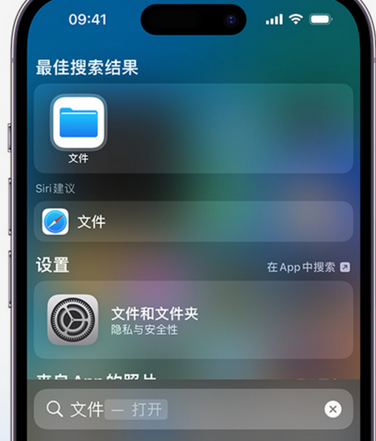 莱州apple维修中心分享iPhone文件应用中存储和找到下载文件 