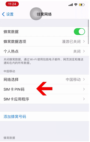 莱州苹果14维修网分享如何给iPhone14的SIM卡设置密码 