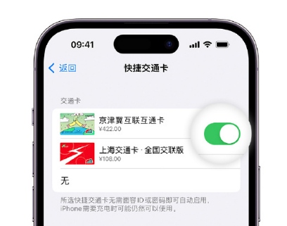 莱州apple维修点分享iPhone上更换Apple Pay快捷交通卡手绘卡面 