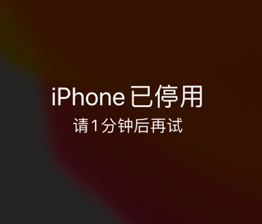 莱州苹果手机维修分享:iPhone 显示“不可用”或“已停用”怎么办？还能保留数据吗？ 