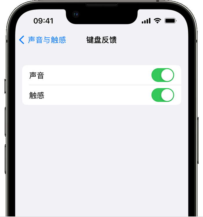 莱州苹果14维修店分享如何在 iPhone 14 机型中使用触感键盘 