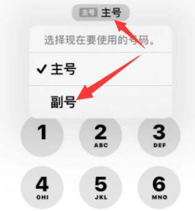 莱州苹果14维修店分享iPhone 14 Pro Max使用副卡打电话的方法 