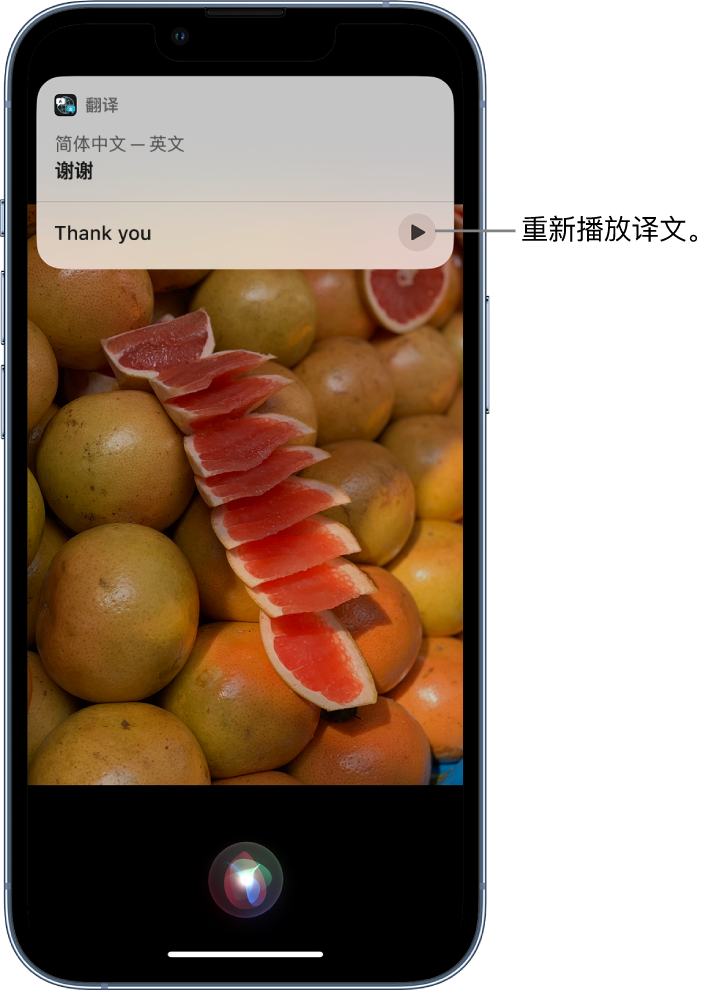 莱州苹果14维修分享 iPhone 14 机型中使用 Siri：了解 Siri 能帮你做什么 