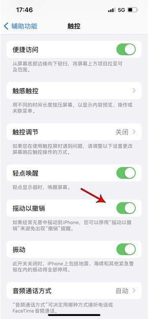 莱州苹果手机维修分享iPhone手机如何设置摇一摇删除文字 