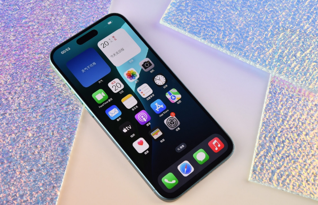 莱州苹果手机维修分享为什么大家不喜欢苹果iPhone 16 Plus 