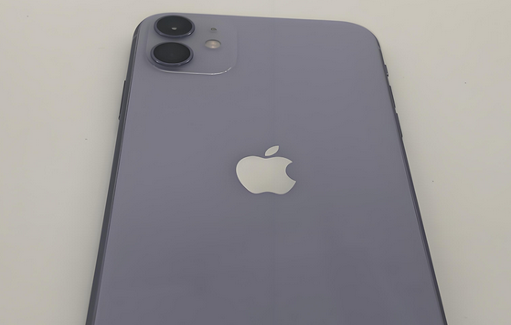 莱州苹果11系统维修分享iPhone11手机系统崩溃无法开机如何解决 